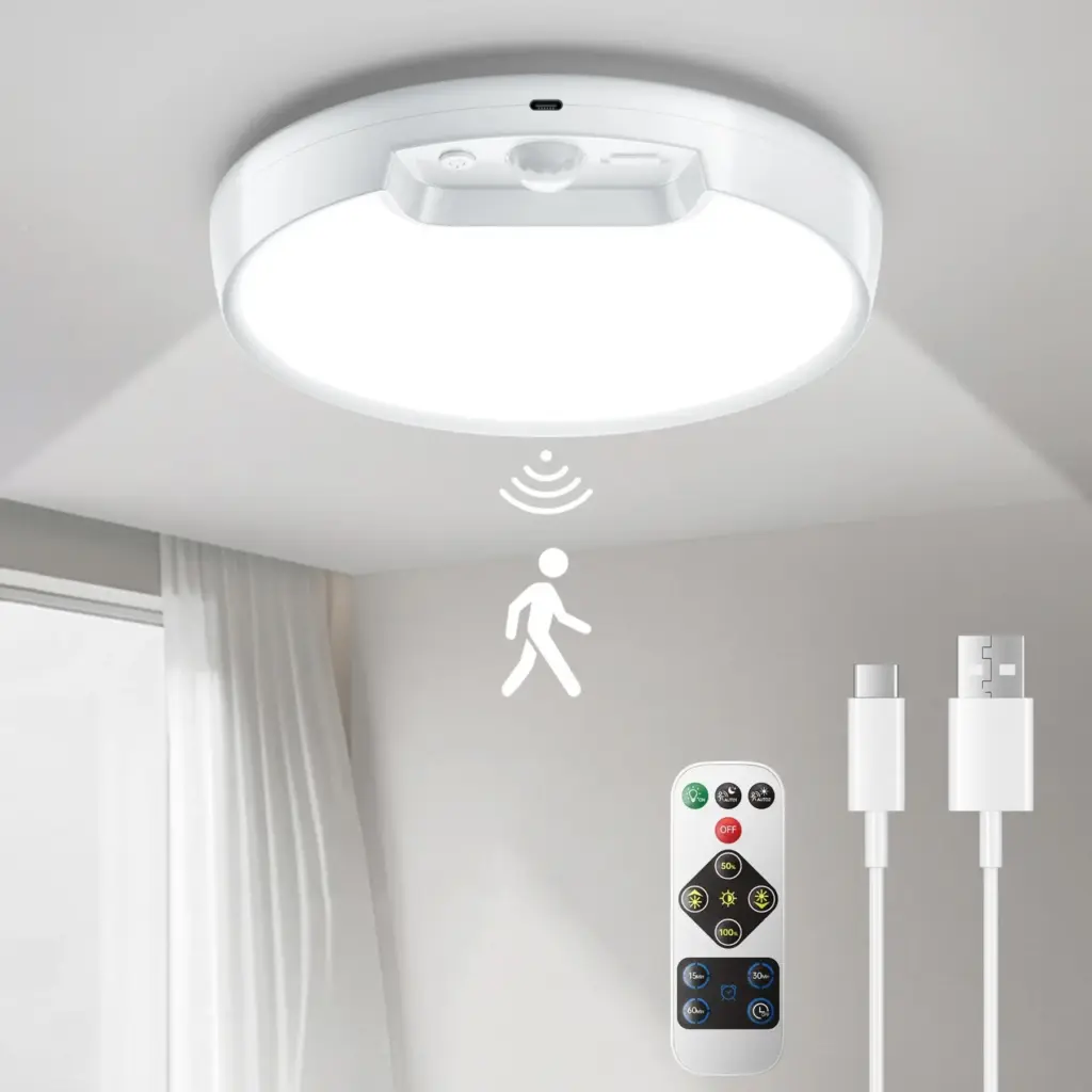 Motion Sensor Ceiling Light